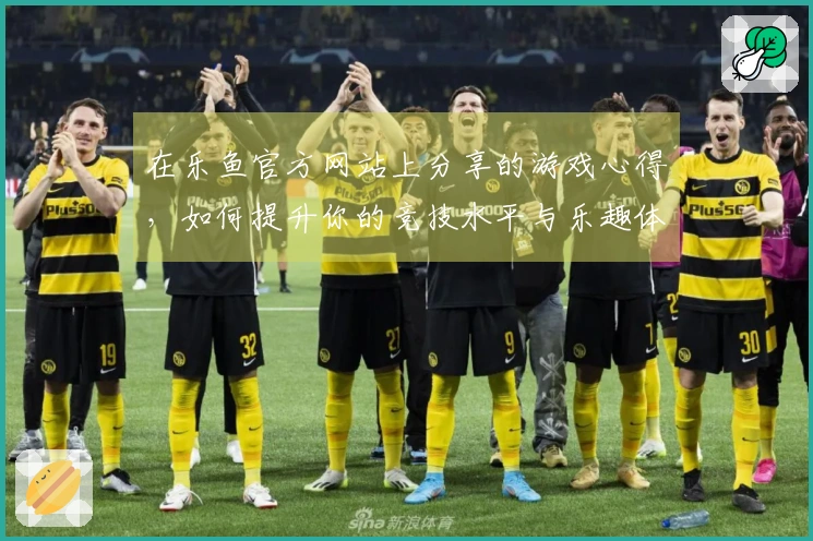 在乐鱼官方网站上分享的游戏心得,如何提升你的竞技水平与乐趣体验
